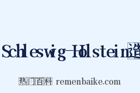 Schleswig-Holstein造句是什么意思的图片